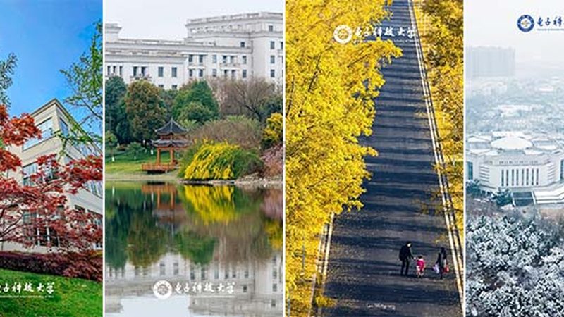 工业级电子模块：解析其优缺点与应用场景